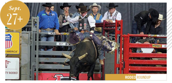 River City Rodeo, man on bull